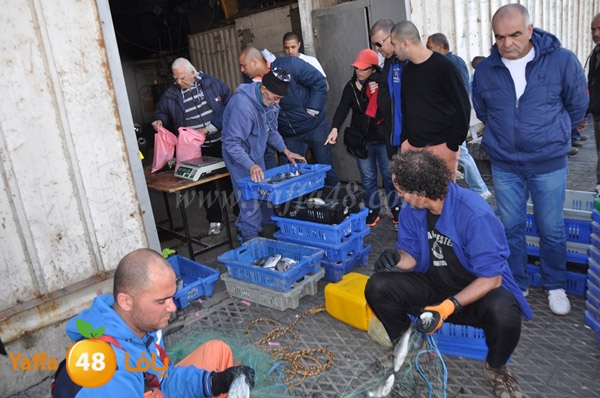 samak denisss (12).JPG